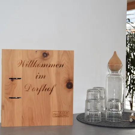 道尔弗豪弗酒店 酒店 3*